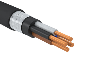ВБШвнг(A)-LS 4х10(N) - 0,66 (Конкорд)
